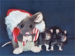 Highlight for Album: Christmas 2001