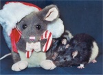 Cecil and Beanie
2001