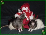 Beanie and Cecil
02