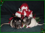 Beanie and Cecil
12/02