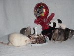 Happy One Year, Boys!