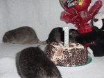 Hey fellas be sure the crumbs are all found!