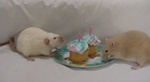Highlight for Album: Jenna and Kaylie,
Happy Birthday 1 yr. olds!