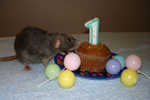 Jailene at her birthday party!