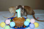 Jailene: "Oooh, its my birthday!"
