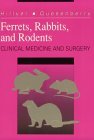 Ferrets, Rabbits, and Rodents