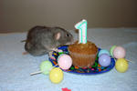 Jailene's 1st birthday!