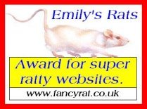 Award for super ratty websites (11/6)