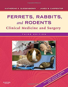 Ferrets, Rabbits, and Rodents, 3e