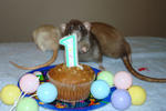 Jailene: "Oooh, its my birthday!"